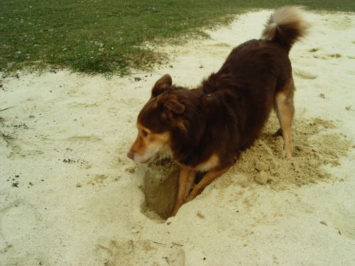 sand.jpg