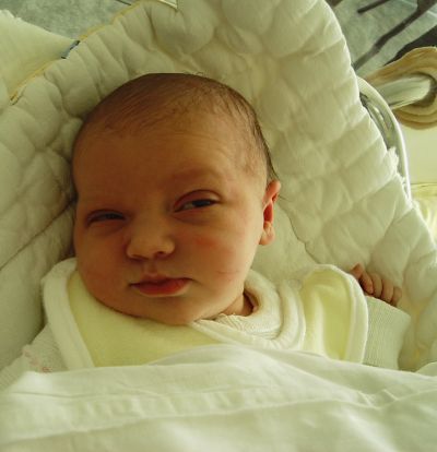 Img0691.jpg