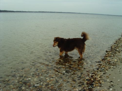wasser.jpg