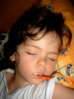 Bild0220.1.jpg