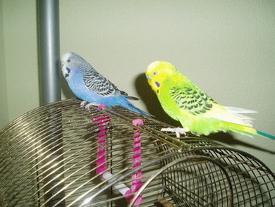 P1010004.JPG