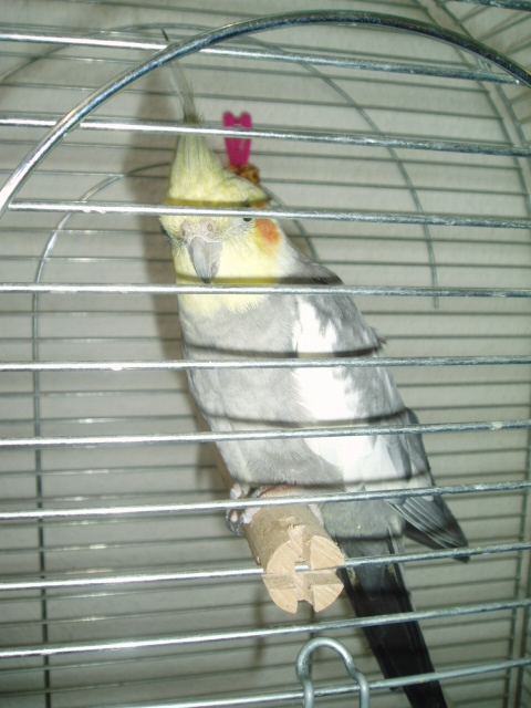 P1010032.JPG