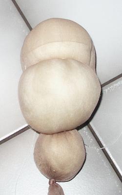 PICT0559.JPG
