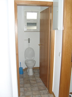 4512098.jpg