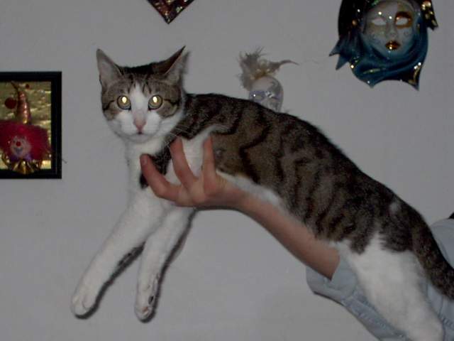 maxi1.JPG