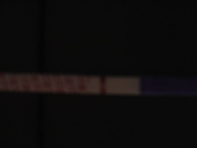 2004-05-10%20007.jpg