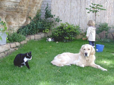 2004-07-11%20-%20104.JPG