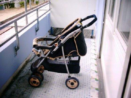 buggy2.jpg