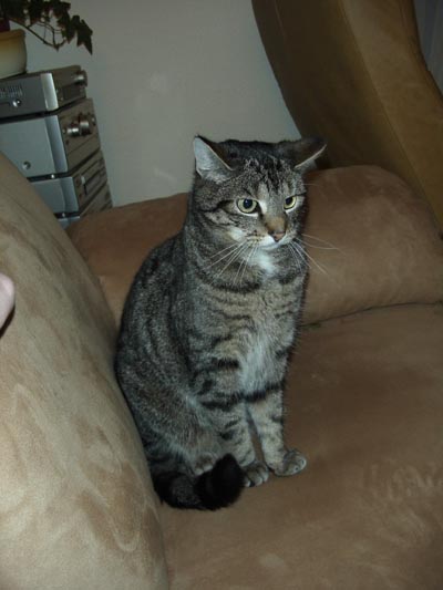 percy1.jpg