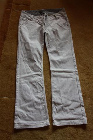5003673.jpg