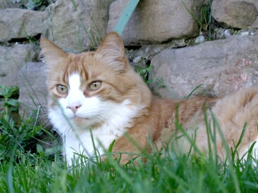 2004-06-30%20-%20115.JPG