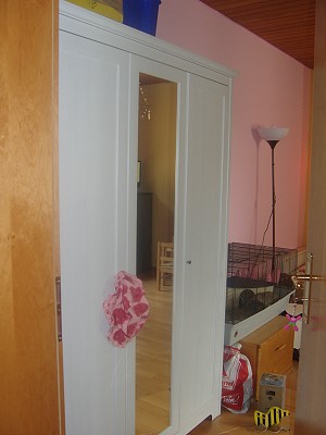 4730298.jpg