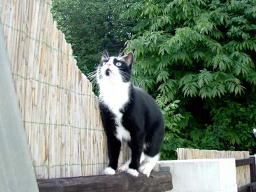 2004-05-26%20-%20105.JPG