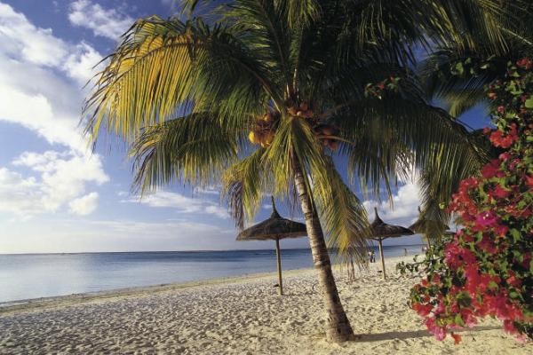 Mauritius%20Beach.jpg