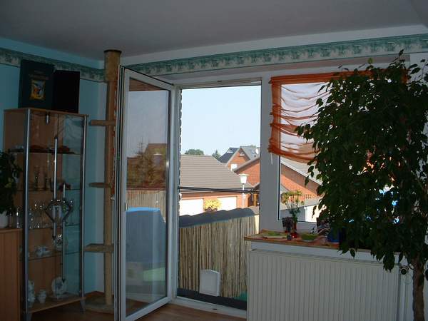 RENODA%20%284%29.JPG