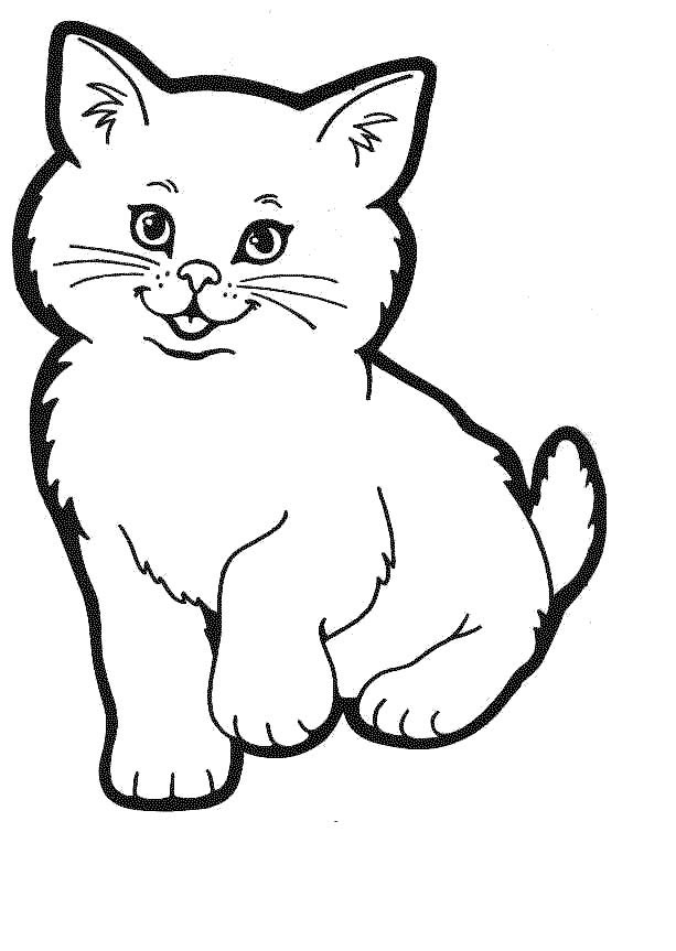 katze.jpg