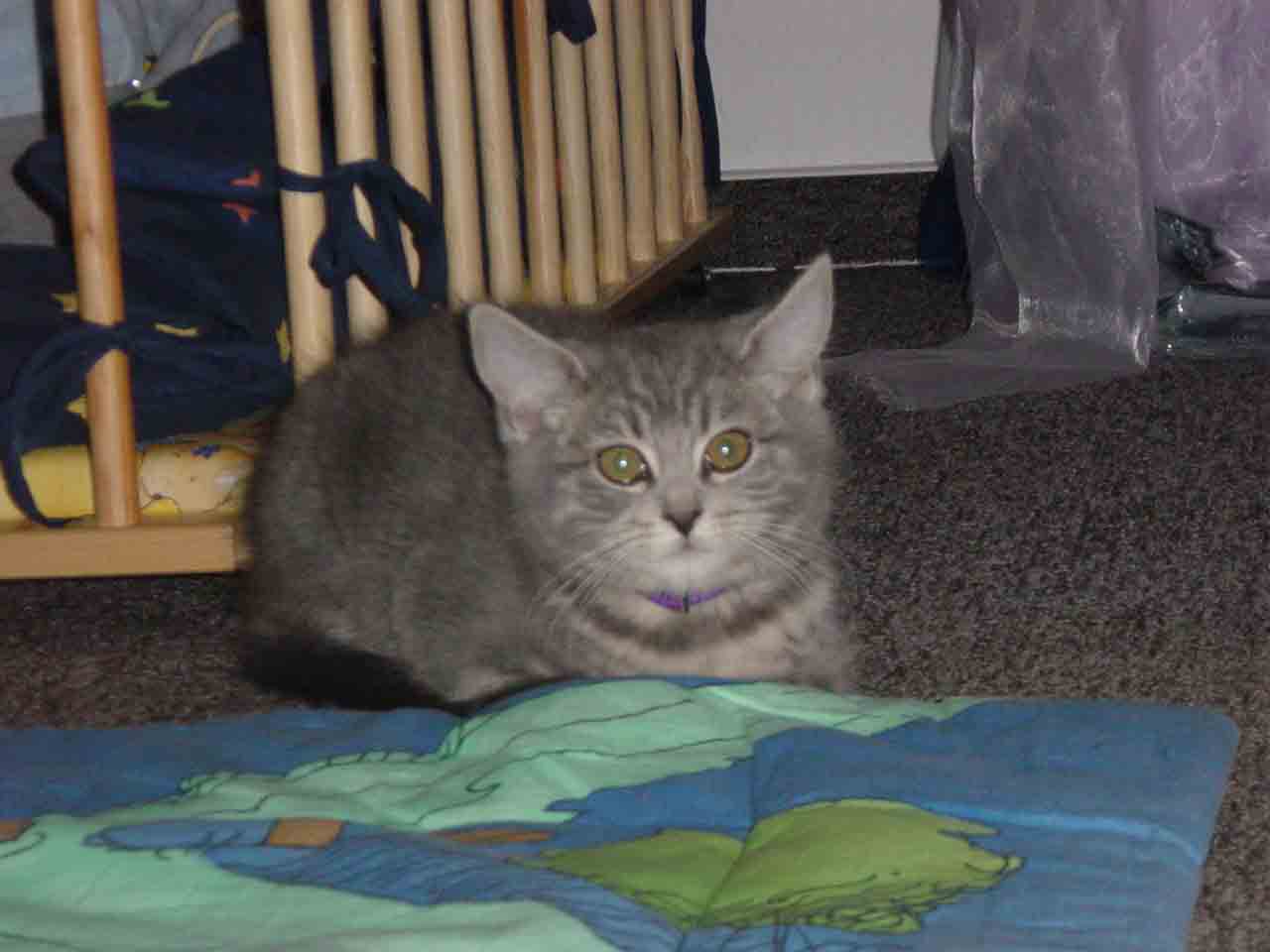 Dsc00744.jpg