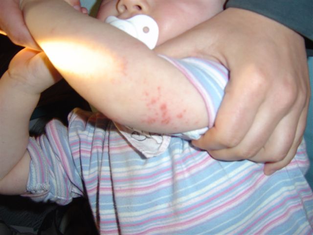 2004-04-11%20038.jpg