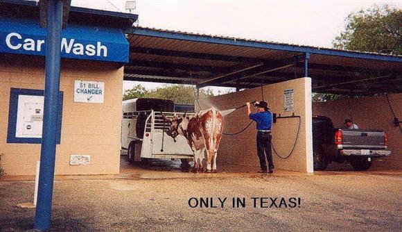 only%20in%20texas%281%29%20%28Custom%29.jpg