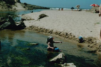 flussmuendung.JPG