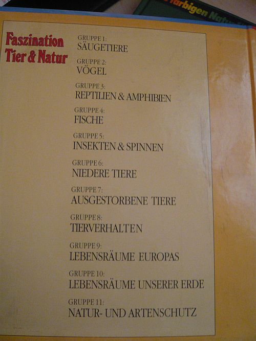 11689311sk.jpg